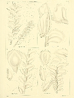  no thumbnail available