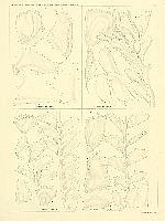  no thumbnail available