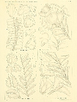  no thumbnail available