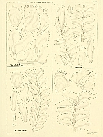  no thumbnail available