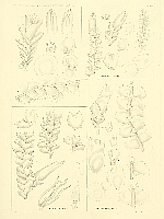  no thumbnail available