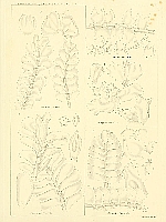  no thumbnail available