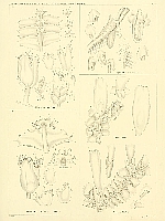  no thumbnail available