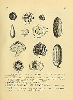  no thumbnail available