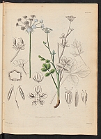  no thumbnail available