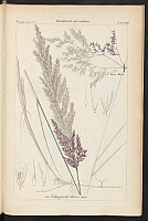  no thumbnail available