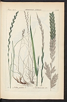  no thumbnail available