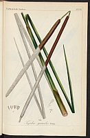  no thumbnail available