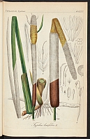  no thumbnail available