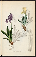  no thumbnail available