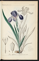  no thumbnail available