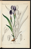  no thumbnail available