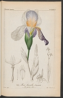  no thumbnail available