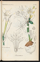  no thumbnail available