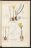  no thumbnail available