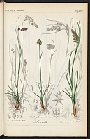  no thumbnail available