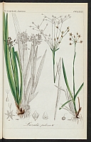  no thumbnail available