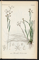  no thumbnail available