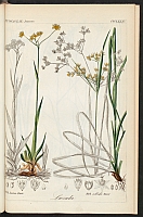  no thumbnail available