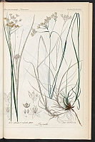  no thumbnail available