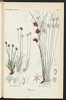  no thumbnail available