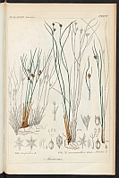  no thumbnail available