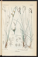  no thumbnail available