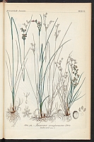  no thumbnail available