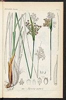  no thumbnail available