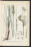  no thumbnail available