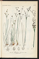  no thumbnail available