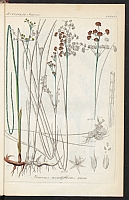  no thumbnail available