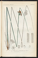  no thumbnail available