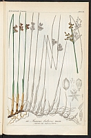  no thumbnail available