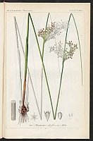  no thumbnail available