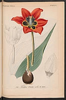  no thumbnail available