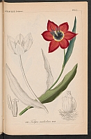  no thumbnail available