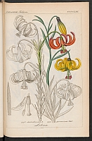  no thumbnail available