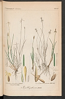  no thumbnail available