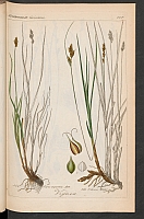  no thumbnail available