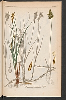  no thumbnail available