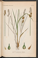  no thumbnail available