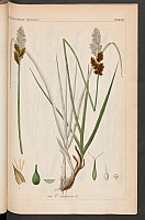  no thumbnail available