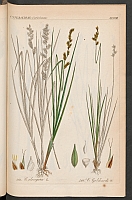  no thumbnail available