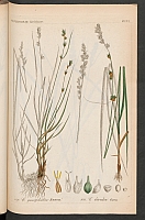  no thumbnail available