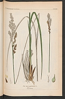  no thumbnail available