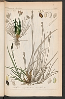  no thumbnail available