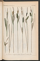  no thumbnail available