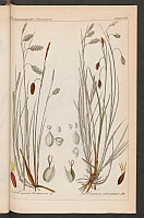  no thumbnail available