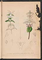  no thumbnail available